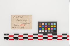 Etiketten zu Bronzekugelkopfnadel (NHMW-PRAE-024898)